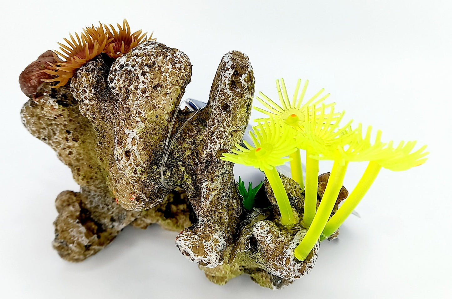 Coral Stone