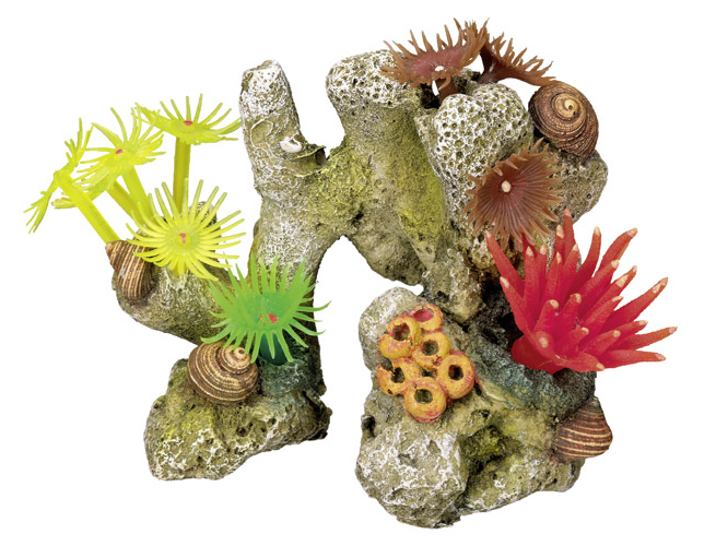 Coral Stone