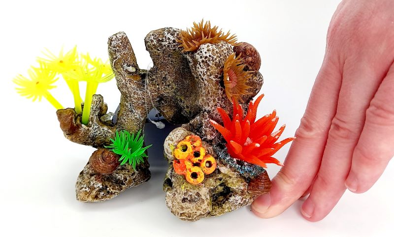 Coral Stone