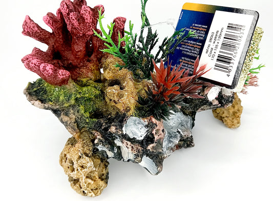 Coral with Plants