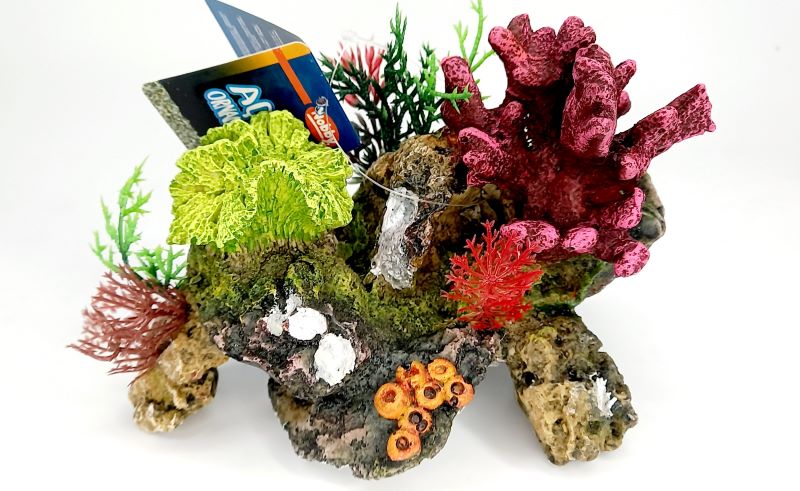 Coral with Plants