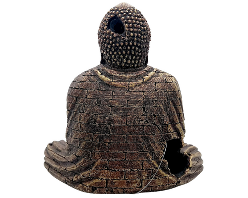 Buddha