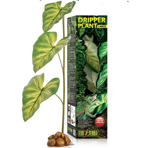 Exo Terra Large Dripper Plant