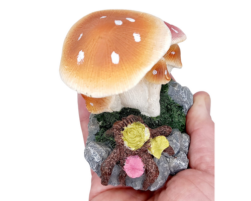 Flat Toadstool Family