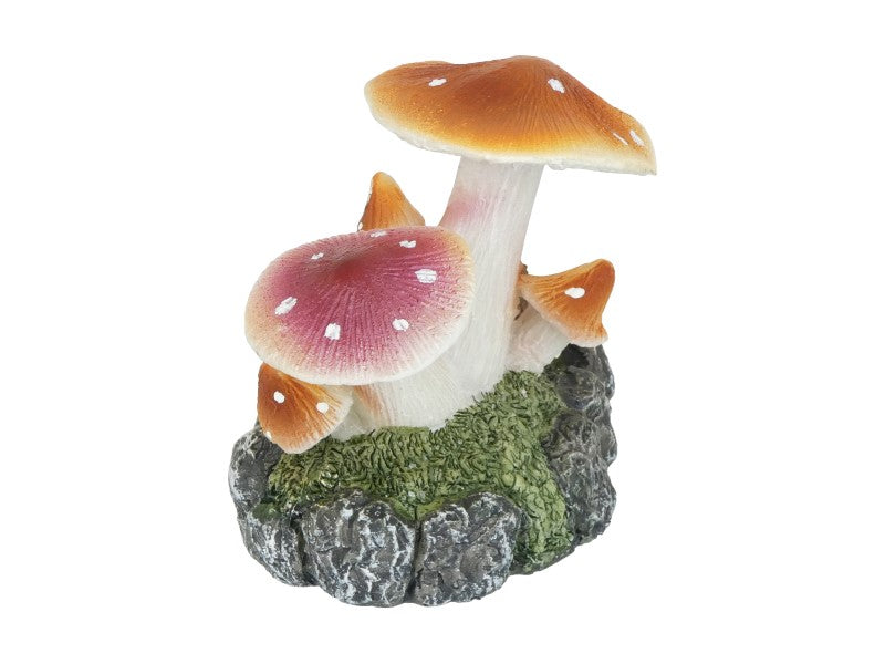 Flat Toadstool Family
