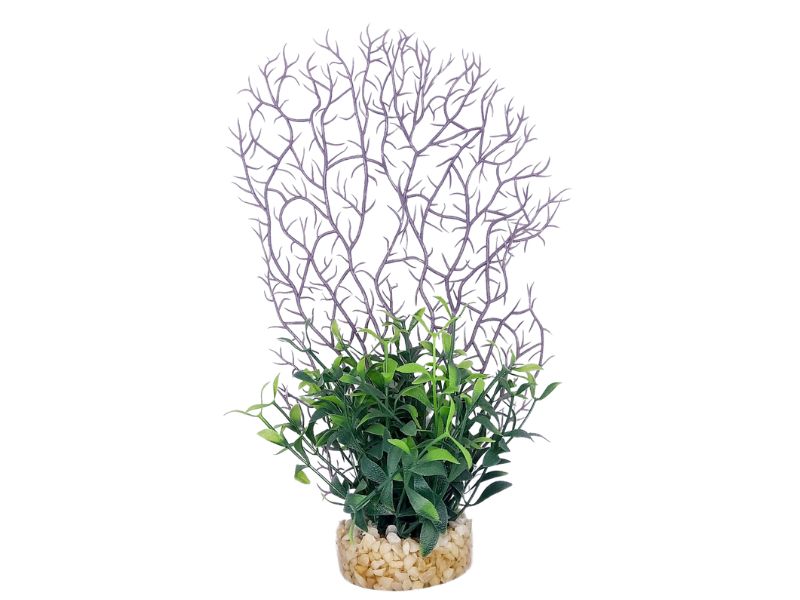 Coral Fern